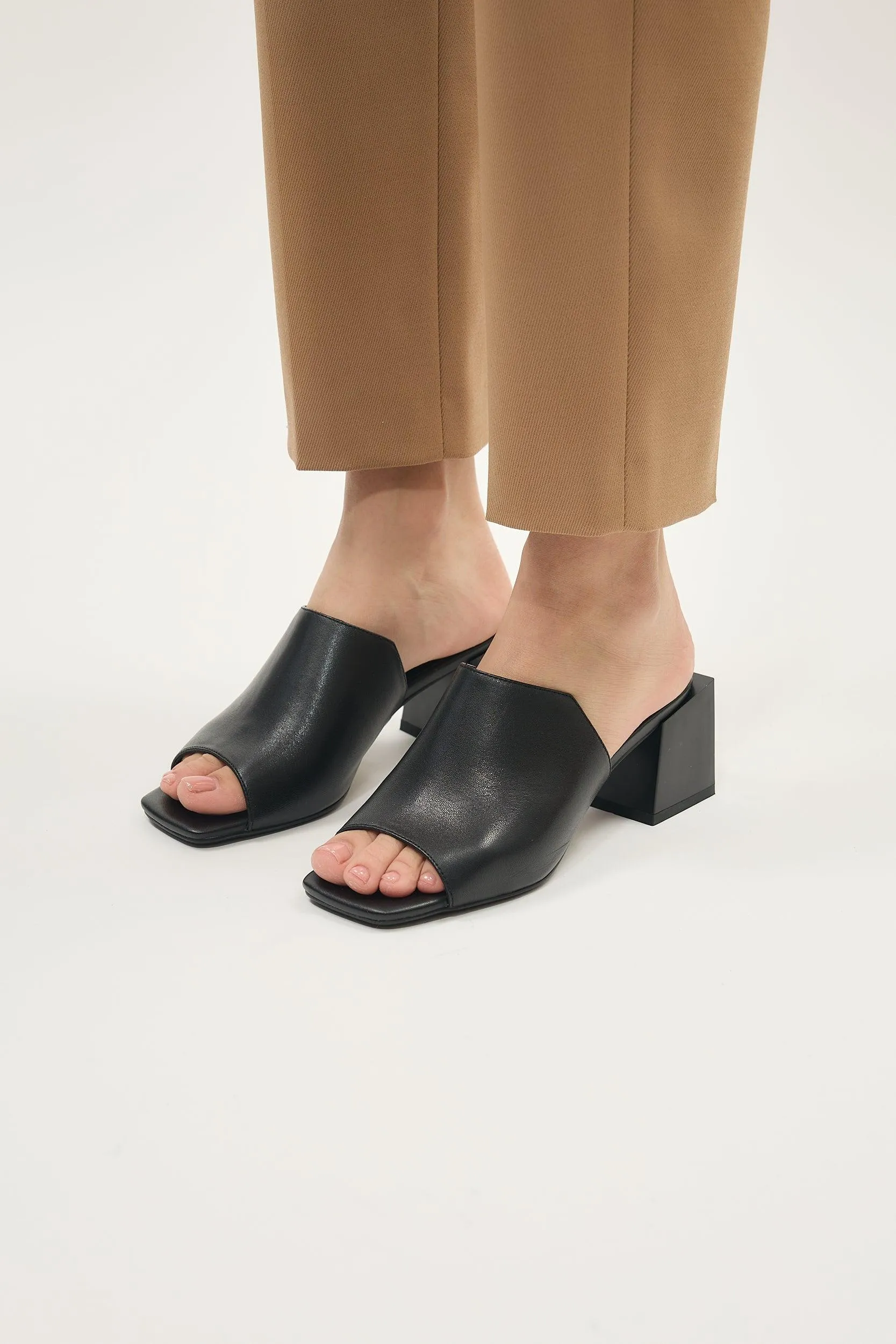 Paloma Black