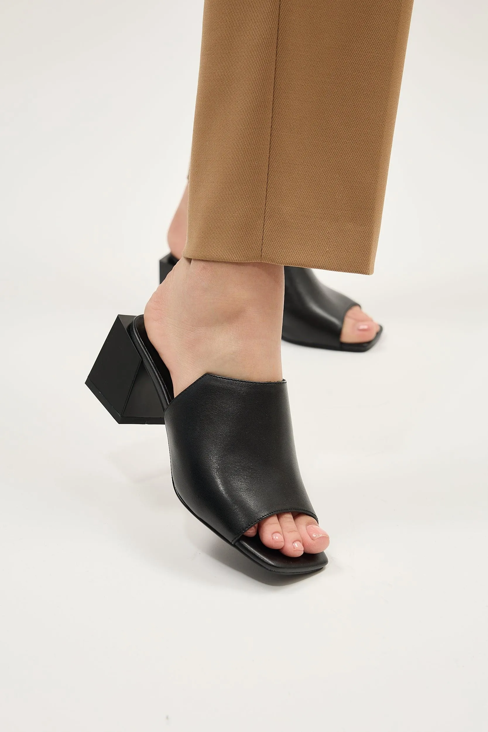 Paloma Black
